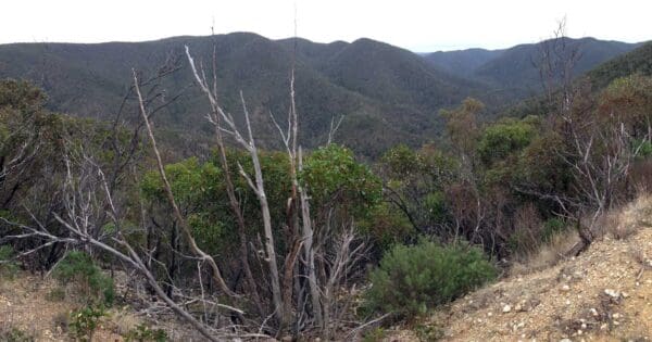The Scenic Rim and River The scenic rim and river