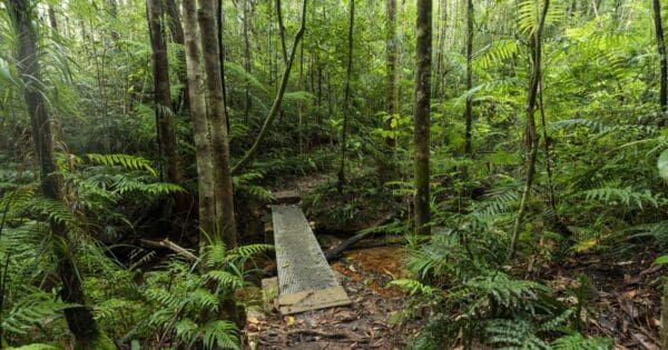 Andrée griffin walking track