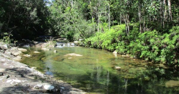 Birthday creek falls walking track