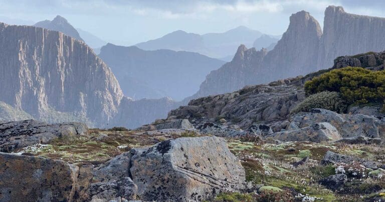 Find a hike or bushwalk