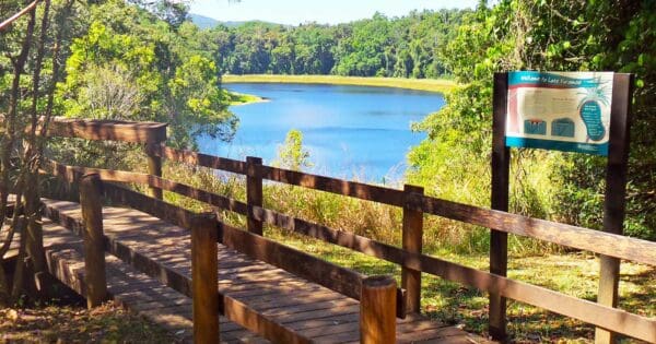 Lake euramoo crater lookout and rainforest walk