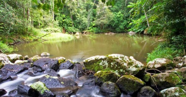 Mobo Creek Crater Walk Mobo creek crater walk