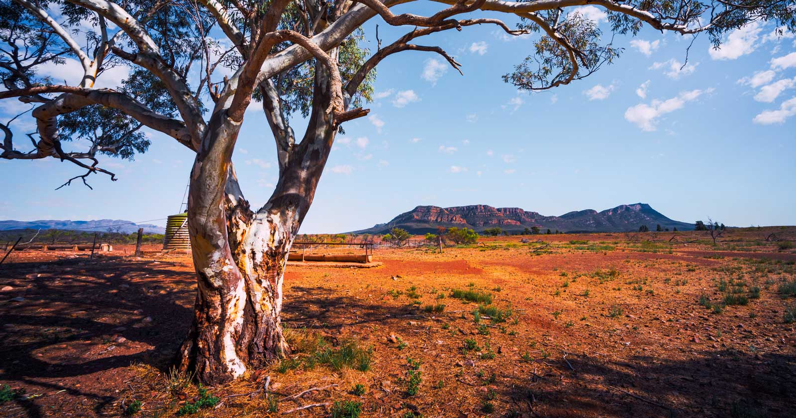 Ikara-Flinders Ranges National Park: SA’s Rugged Outback Wilpena pound in the flinders ranges, south australia