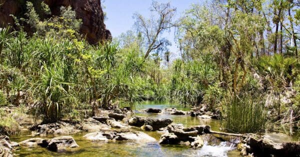 Botanical Walk Botanical walk