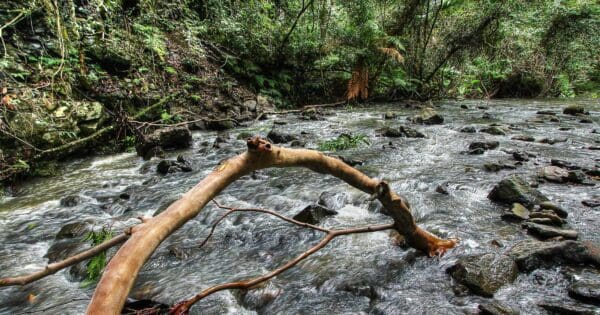 Cascades circuit main range national park