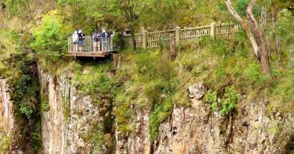 Cliff circuit main range national park, queensland