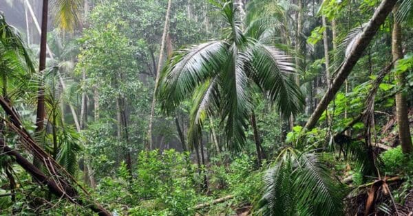 Eagle heights road access track