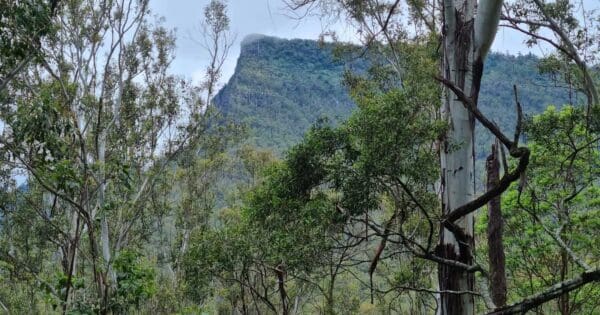 Heritage Trail Main Range National Park Heritage trail main range national park