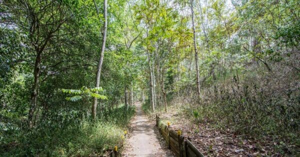 Kambartcho sanctuary