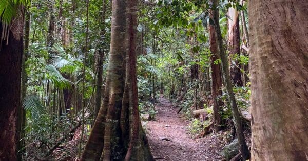Macdonald rainforest circuit