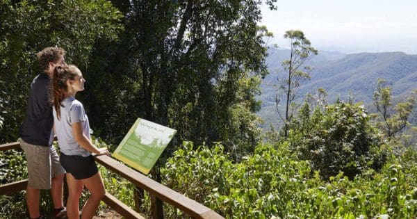 Mount castle lookout track