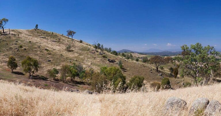 Mount painter reserve circuit
