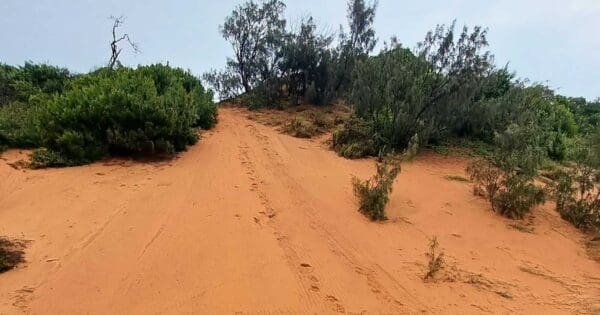 Orange bowl sand blow byfield national park
