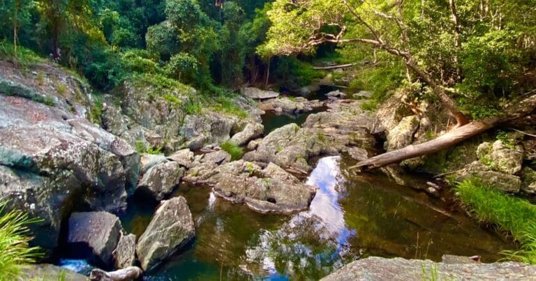 Peters creek lookout walk