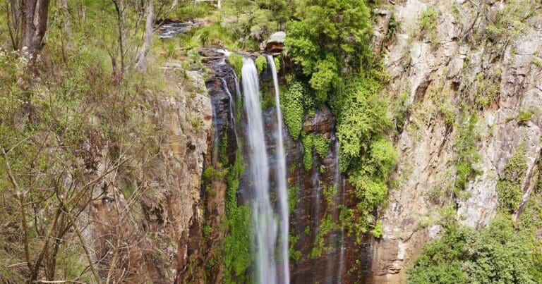 Queen Mary Falls Circuit Queen mary falls circuit