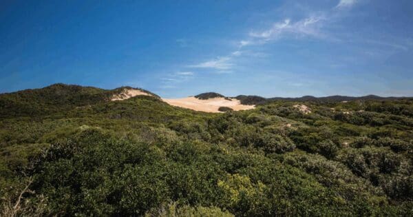 Queen mary sand blow track