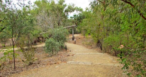Rainbow Serpent Track Rainbow serpent track