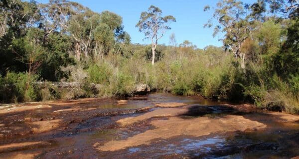 Flat rock creek walk