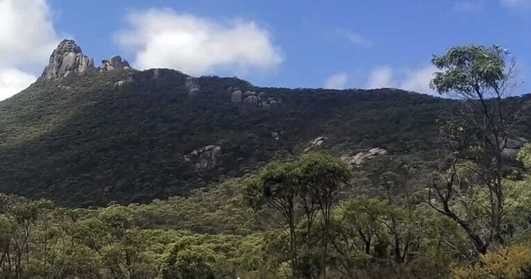 Find a hike or bushwalk