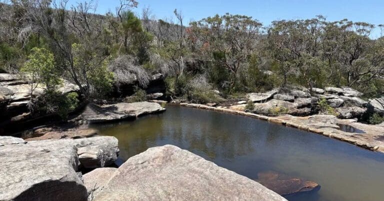 Wattamolla dam royal national park