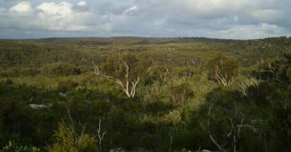 Royal National Park Royal national park