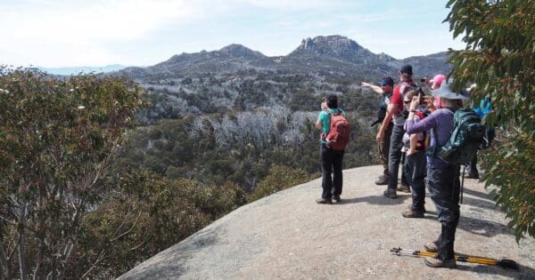 Mollison Galleries Hike Mollison galleries hike