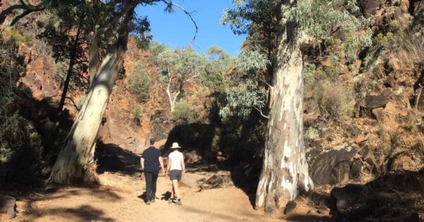 Sacred Canyon (Yura Mulka) Walk Sacred canyon (yura mulka) walk