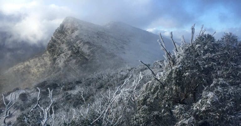 The bluff trail circuit hike