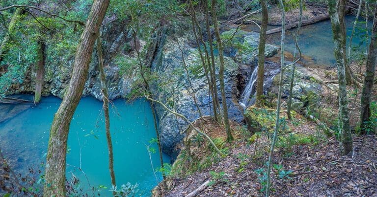 Unicorn falls walking track