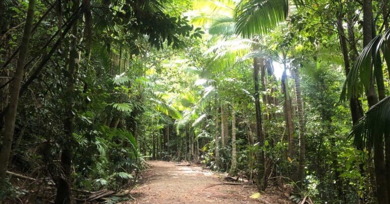 Conway circuit hike