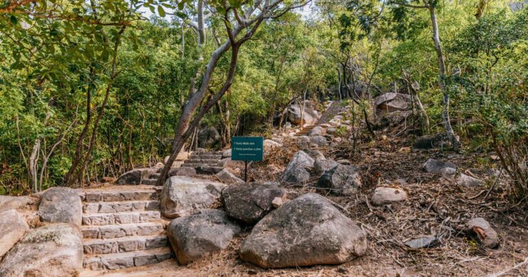 Walks and hikes near brisbane