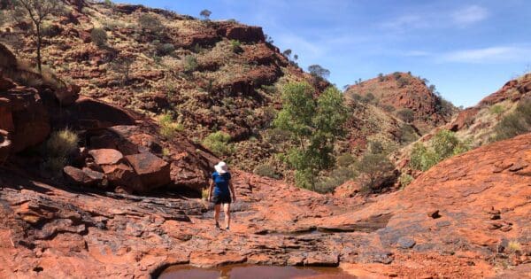Illamurta springs walk nt