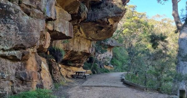 Jersey Spring Walk Jersey spring walk