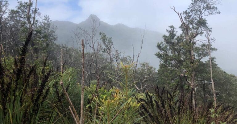 Kahlpahlim rock trail
