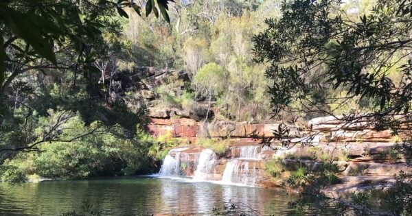 Loftus to winifred falls hike