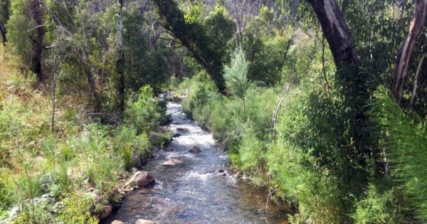 Mackenzie River: Bun-Nah Trail Mackenzie river: bun-nah trail