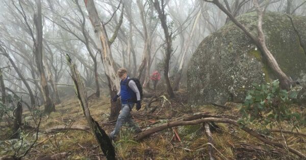 Mount Torbreck Hike Mount torbreck hike