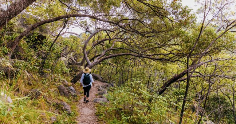 Walks and hikes near brisbane