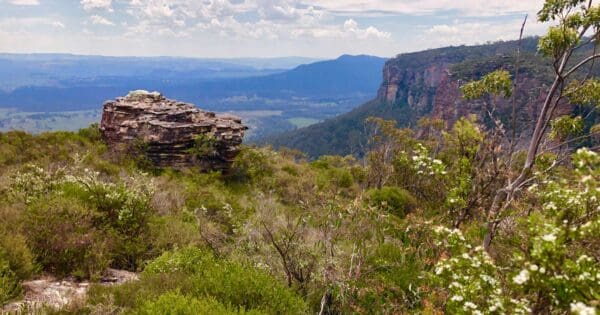 Walls ledge, porters pass, centennial glen circuit (5. 8km)