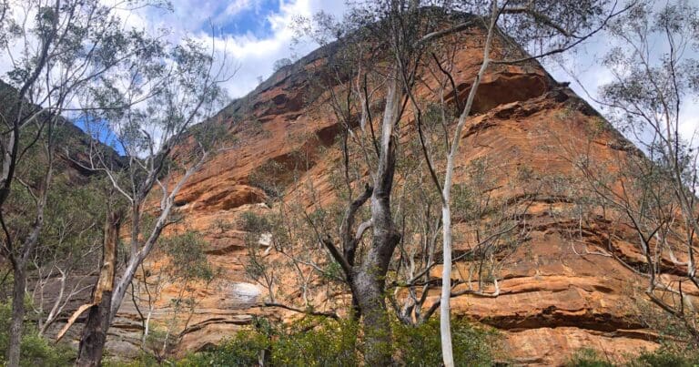 Walls Ledge Walking Track Walls ledge walking track