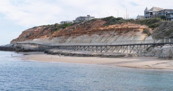 Witton Bluff Base Trail (1.1km) Witton bluff base trail (1. 1km)