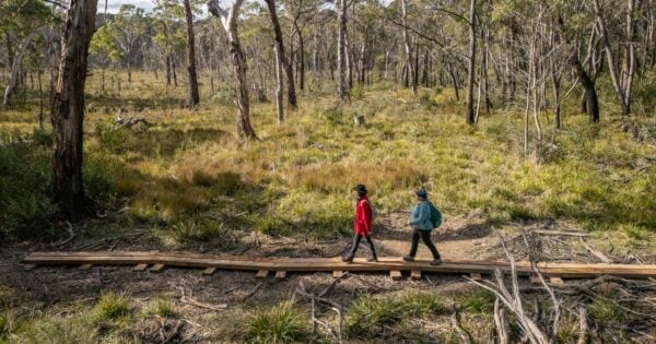 Broad swamp loop walk gardens of stone nsw