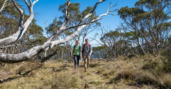 Mindjagari Track Banggu Loop Mindjagari track banggu loop