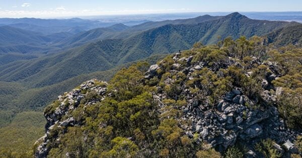 Mindjagari Track Short and Brutal Mindjagari track short and brutal