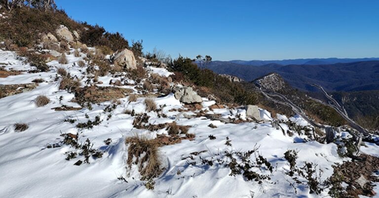 Mindjagari track snowy corner traverse