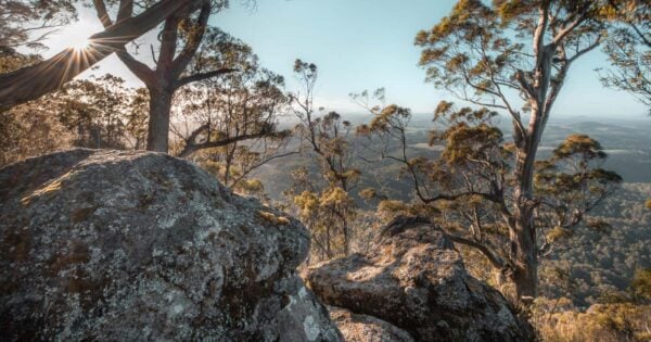 Mount Dial Mount dial