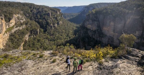 Broad Swamp to Birds Rock Walking Track Broad swamp to birds rock walking track