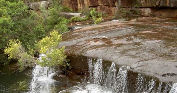 Mount bass winifred falls hike