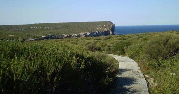 Mowlee Ridge to Garie Beach Hike Mowlee ridge to garie beach hike