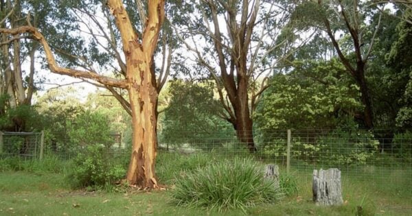 Otford to helensburgh hike